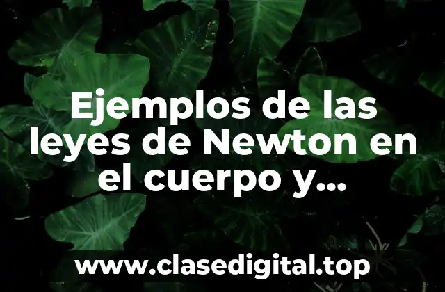 Ejemplos de las leyes de Newton en el cuerpo