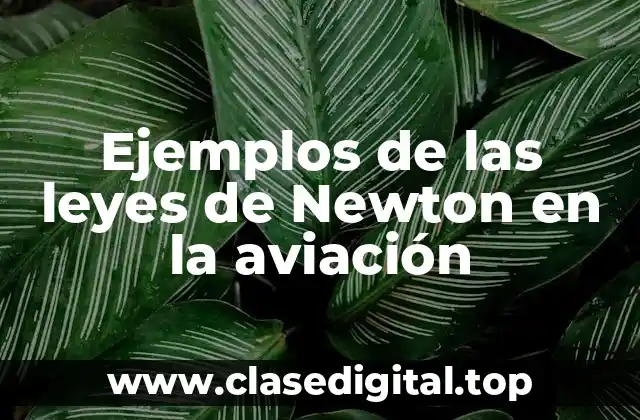 Ejemplos de las leyes de Newton en la aviación
