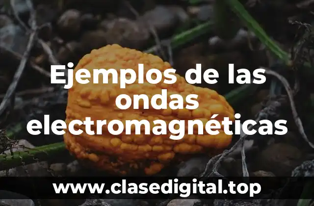 Ejemplos de las ondas electromagnéticas