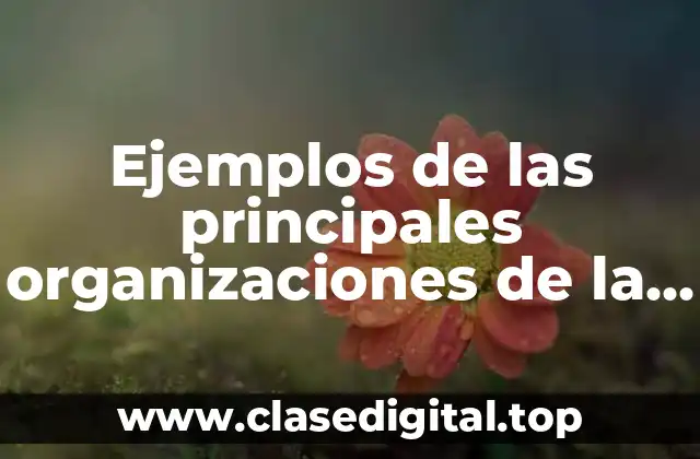 Ejemplos de las principales organizaciones de la sociedad civiles
