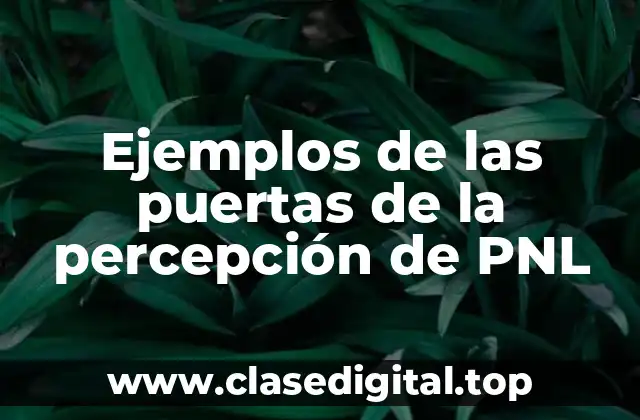 Ejemplos de las puertas de la percepción de PNL