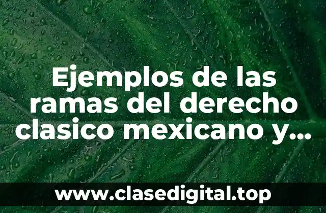 Ejemplos de las ramas del derecho clasico mexicano y Significado
