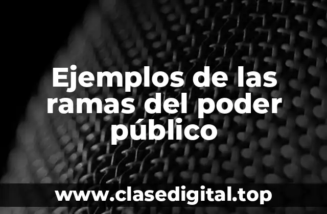 Ejemplos de las ramas del poder público