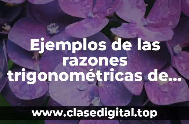 Ejemplos de las razones trigonométricas de los ángulos notables