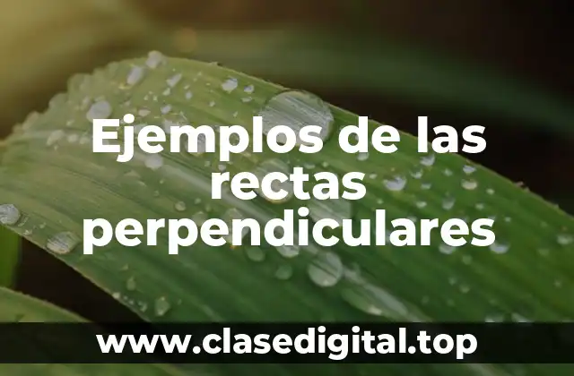 Ejemplos de las rectas perpendiculares