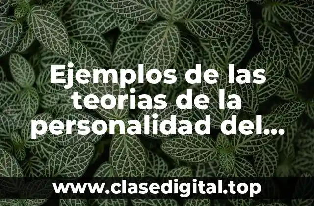 Ejemplos de las teorias de la personalidad del consumidor