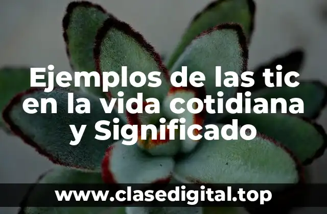 Ejemplos de las tic en la vida cotidiana y Significado