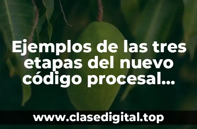 Ejemplos de las tres etapas del nuevo código procesal penal y Significado