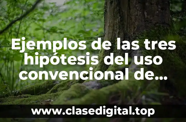 Ejemplos de las tres hipótesis del uso convencional de escritura