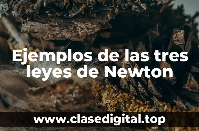 Ejemplos de las tres leyes de Newton