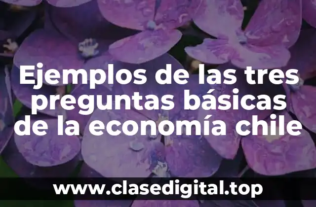 Ejemplos de las tres preguntas básicas de la economía chile