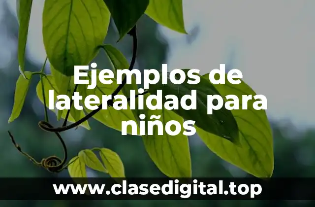 Ejemplos de lateralidad para niños