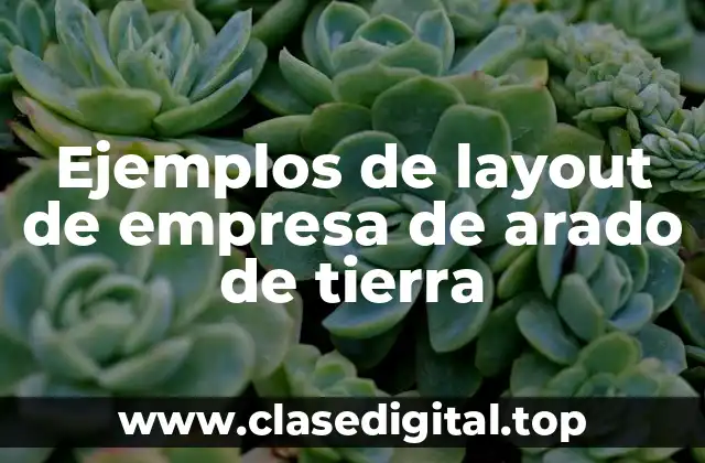 Ejemplos de layout de empresa de arado de tierra