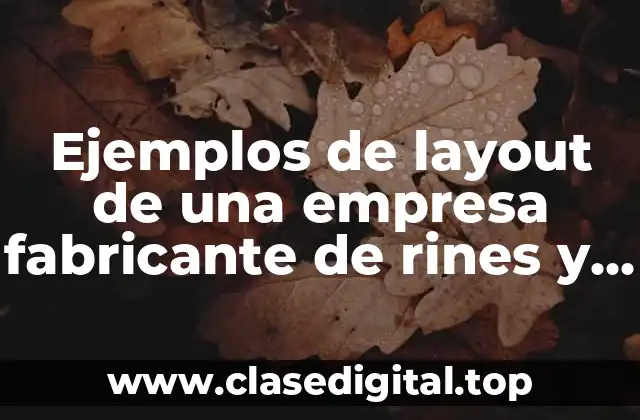 Ejemplos de layout de una empresa fabricante de rines y Significado