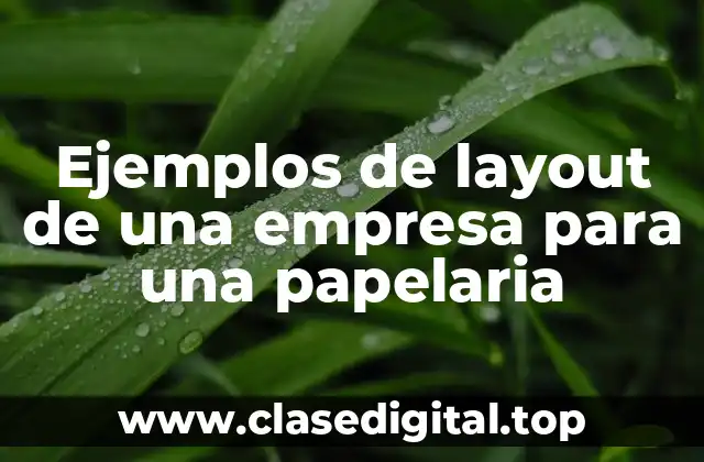 Ejemplos de layout de una empresa para una papelaria