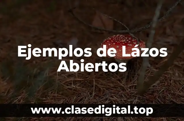 Ejemplos de Lázos Abiertos
