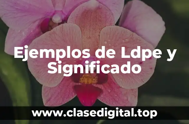 Ejemplos de Ldpe y Significado