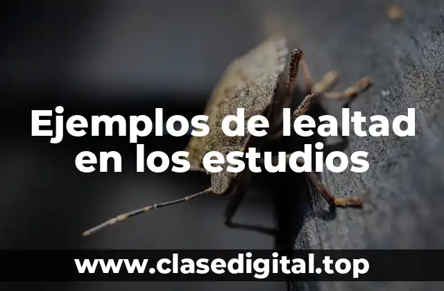 Ejemplos de lealtad en los estudios