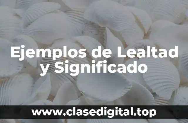 Ejemplos de Lealtad y Significado