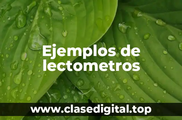 Ejemplos de lectometros