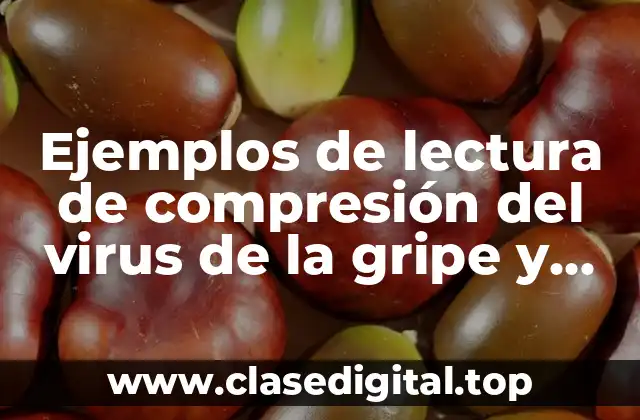 Ejemplos de lectura de compresión del virus de la gripe y Significado
