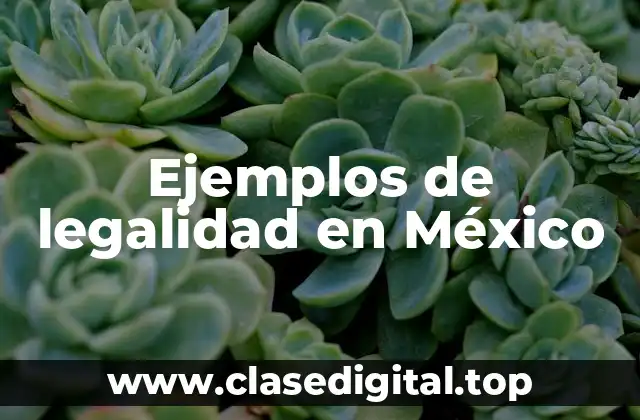 Ejemplos de legalidad en México