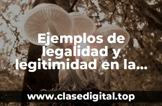 Ejemplos de legalidad y legitimidad en la vida cotidiana