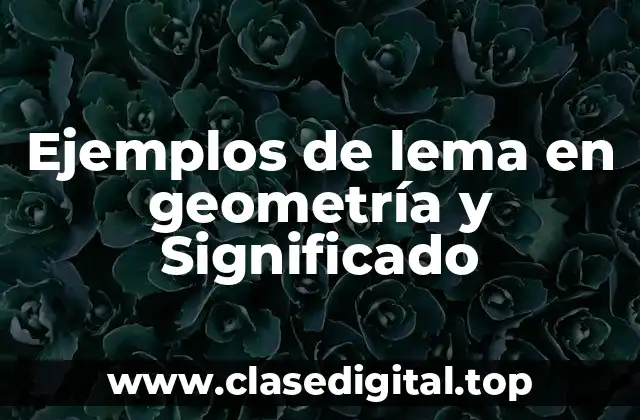 Ejemplos de lema en geometría y Significado