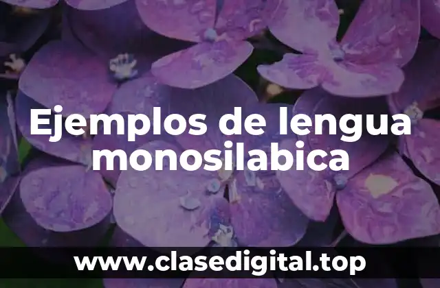 Ejemplos de lengua monosilabica