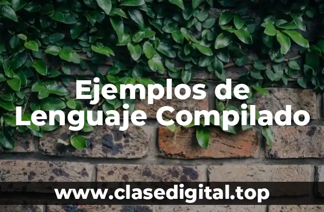 Ejemplos de Lenguaje Compilado