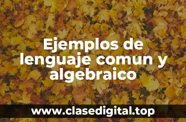 Ejemplos de lenguaje comun y algebraico