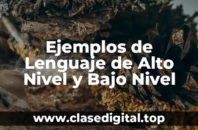 Ejemplos de Lenguaje de Alto Nivel y Bajo Nivel