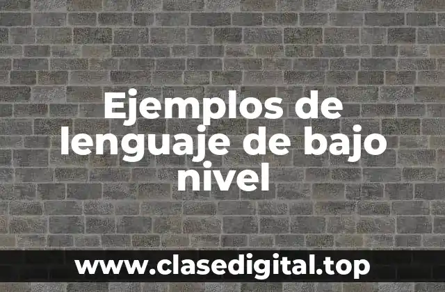 Ejemplos de lenguaje de bajo nivel