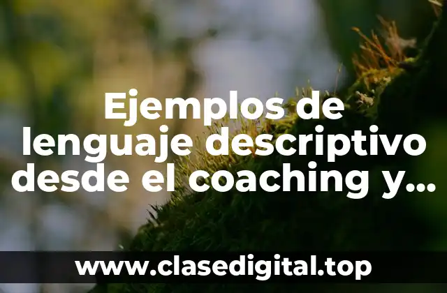 Ejemplos de lenguaje descriptivo desde el coaching y Significado
