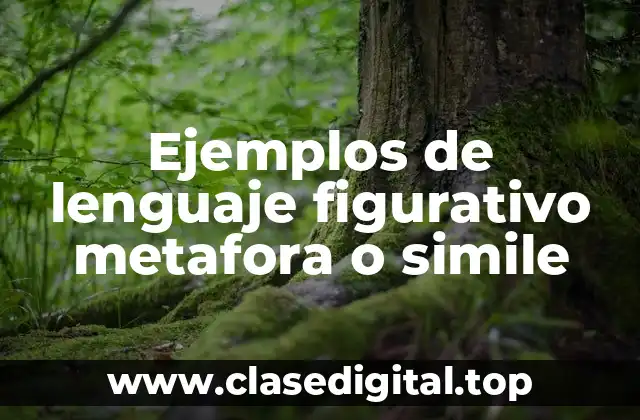 Ejemplos de lenguaje figurativo metafora o simile