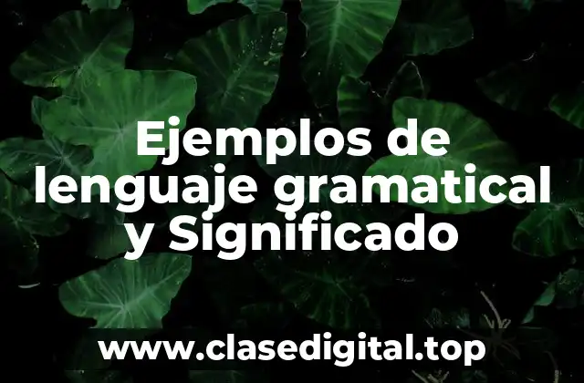 Ejemplos de lenguaje gramatical y Significado