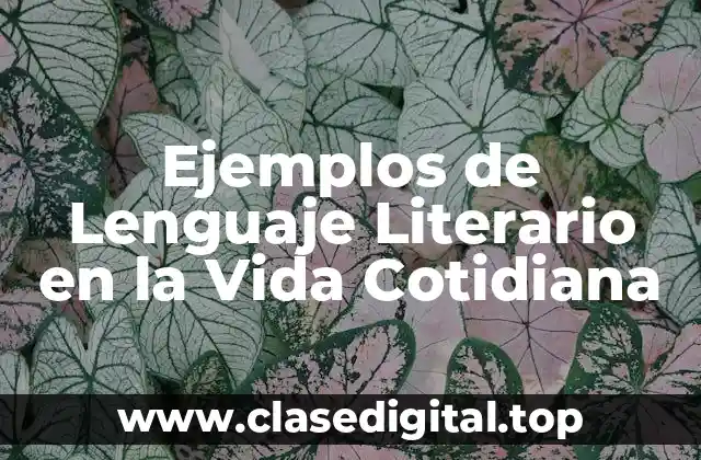 Ejemplos de Lenguaje Literario en la Vida Cotidiana