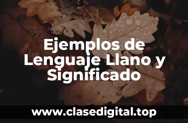 Ejemplos de Lenguaje Llano y Significado