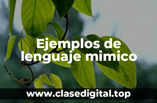 Ejemplos de lenguaje mimico