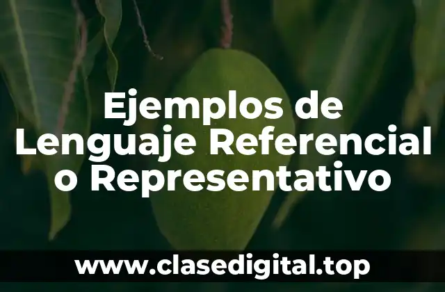 Ejemplos de Lenguaje Referencial o Representativo