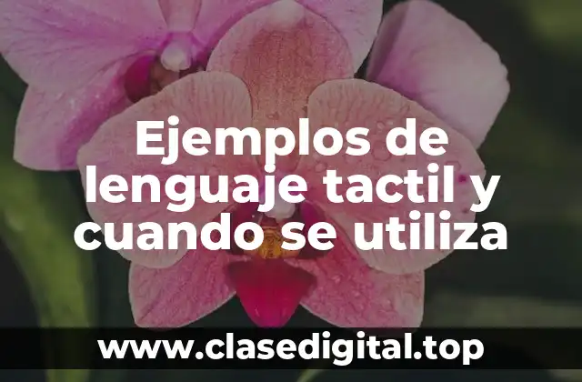 Ejemplos de lenguaje tactil y cuando se utiliza