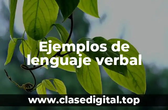 Ejemplos de lenguaje verbal