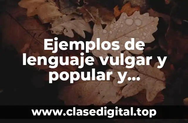 Ejemplos de lenguaje vulgar y popular y Significado