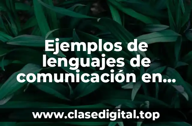 Ejemplos de lenguajes de comunicación en código de máquina y Significado