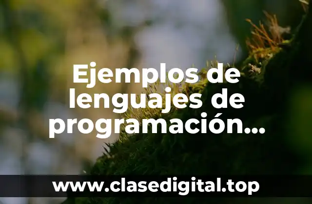 Ejemplos de lenguajes de programación estructurada y orientada a objetos