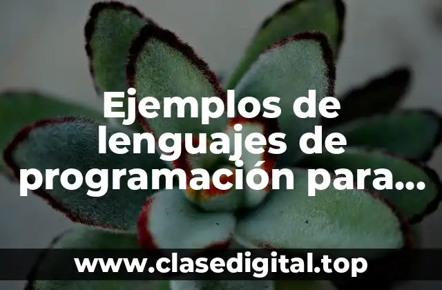 Ejemplos de lenguajes de programación para planeación de una empresa