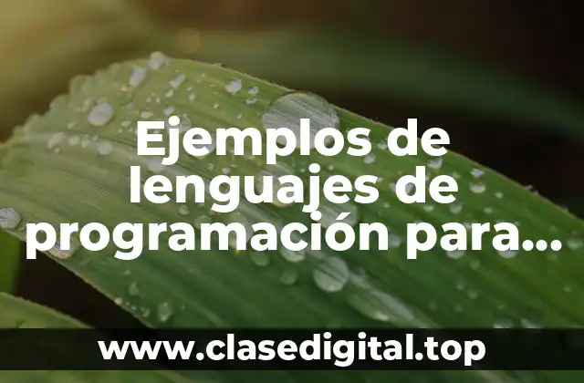 Ejemplos de lenguajes de programación para programar un algoritmo