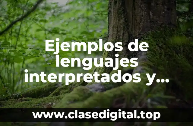 Ejemplos de lenguajes interpretados y Significado