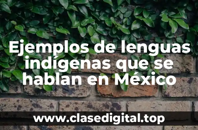 Ejemplos de lenguas indígenas que se hablan en México