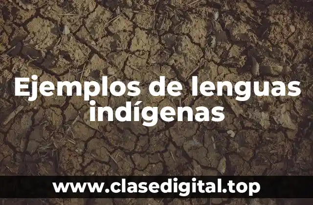 Ejemplos de lenguas indígenas